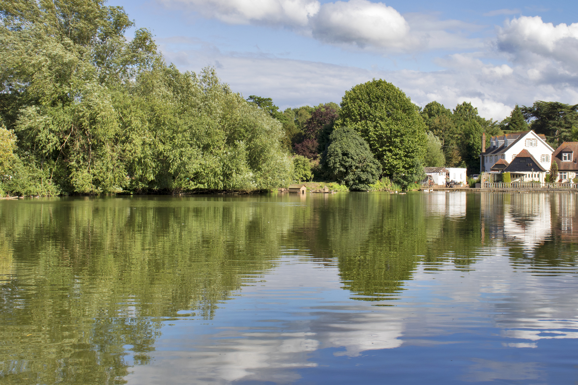 Waterside properties and fisheries for sale Fenn Wright Water & Leisure